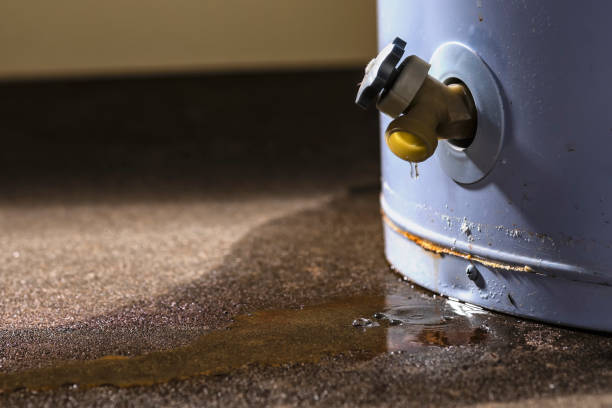 Best Flood restoration services  in Hobart, WI