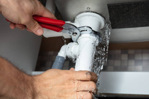 Best Professional water damage repair  in Hobart, WI
