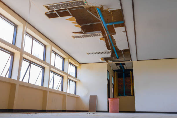 Best Flood damage cleanup  in Hobart, WI
