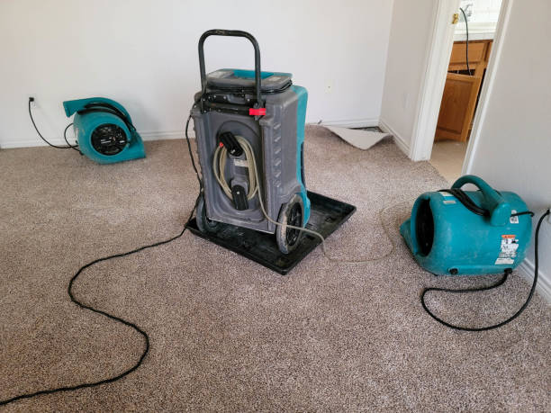 Best Water damage cleanup near me  in Hobart, WI
