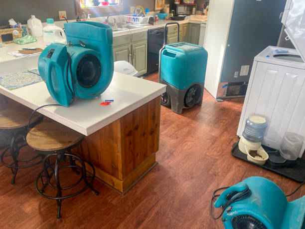 Best Residential water damage restoration  in Hobart, WI