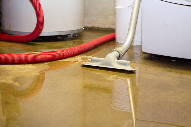 Best Water damage restoration company  in Hobart, WI