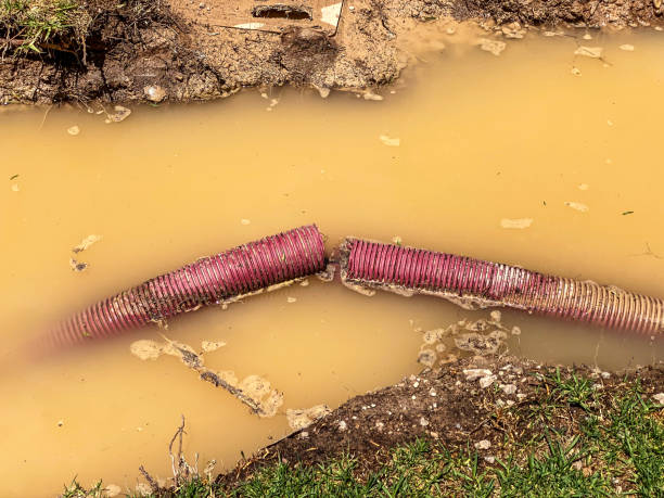 Best 24/7 water damage repair  in Hobart, WI