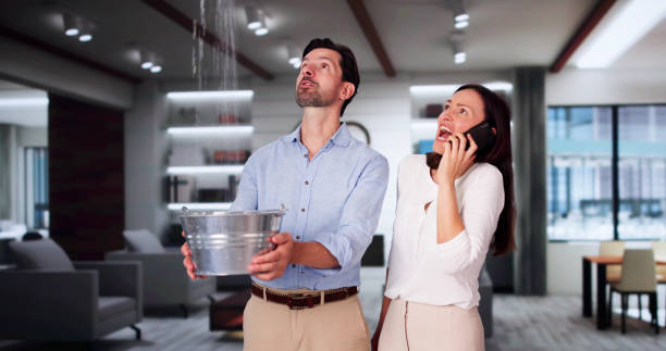Best Carpet water damage restoration  in Hobart, WI