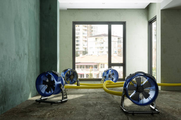 Best Water damage contractors near me  in Hobart, WI